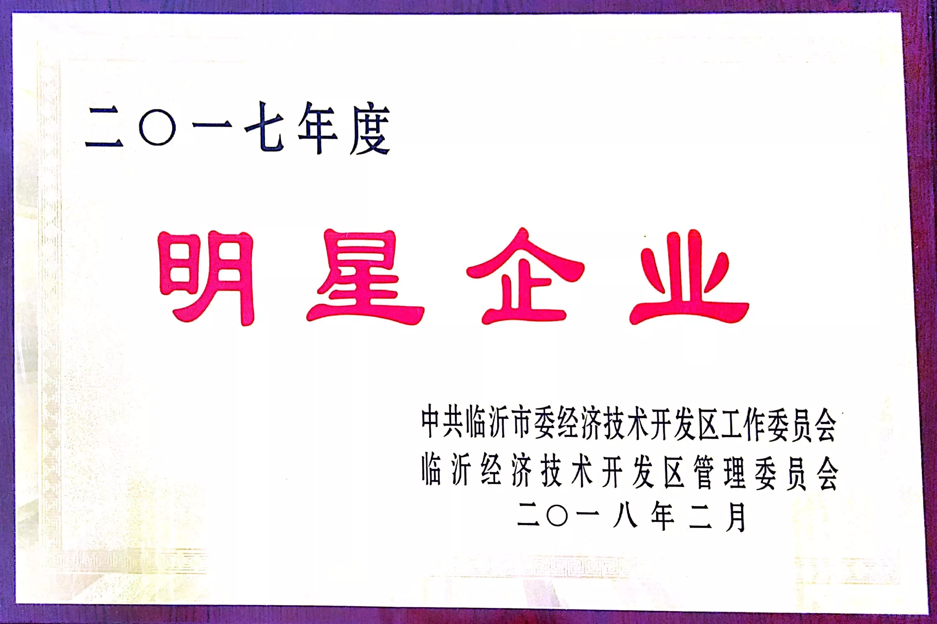 临沂经济技术开发区明星企业